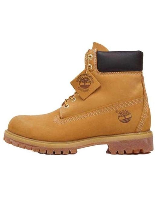 Timberland Brown Premium Waterproof 6' Boots Medium 'Classic' for men