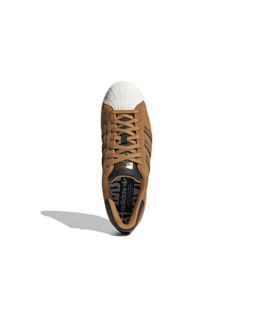 Adidas Brown Originals Superstar Cny for men