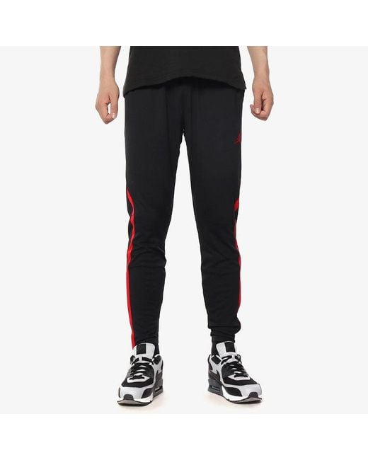 jordan dry 23 alpha training pants