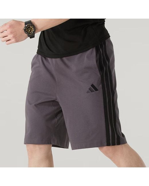 Adidas Purple Shorts for men