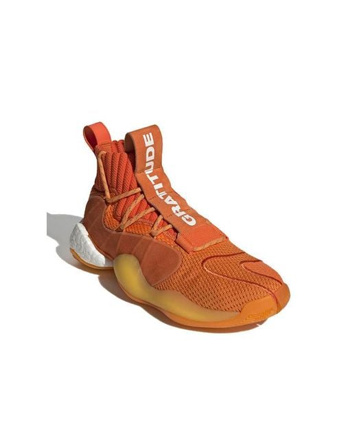 Adidas Brown X Pharrell Crazy Byw X for men