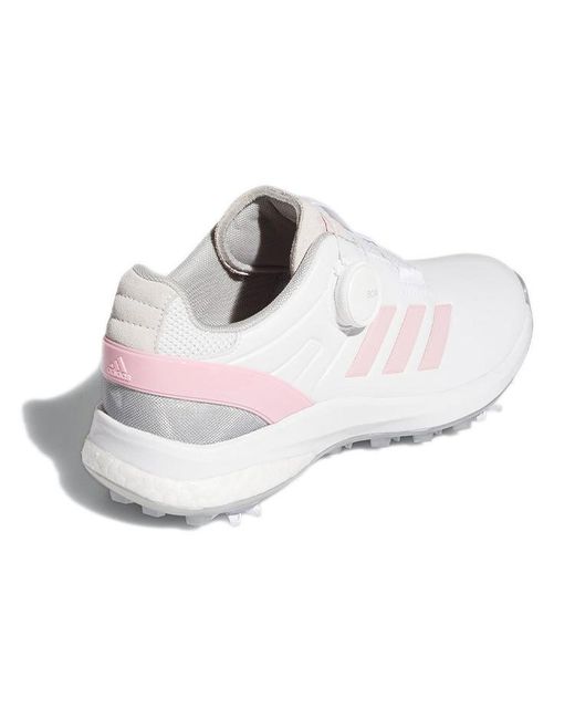 Adidas White (Wmns) Eqt Boa Golf Shoes For