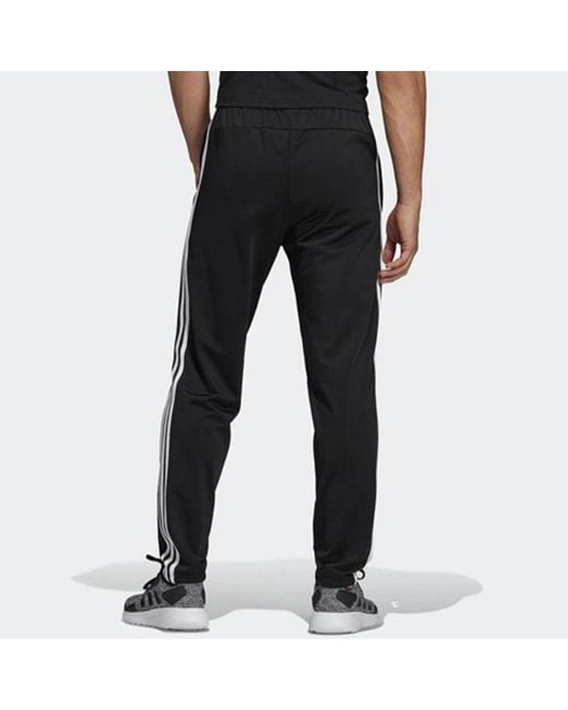 Adidas Black E 3S T Pnt Tric Sportstrouser for men
