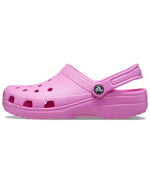 CROCSTM Purple Classic Clog 'Taffy' for men