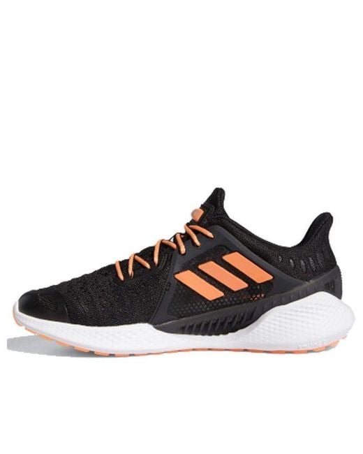 Adidas Black (Wmns) Climacool Vent Summer.Rdy