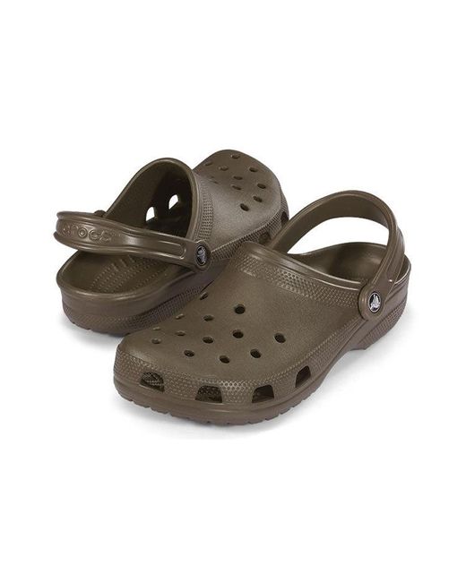 CROCSTM Brown Classic Clog for men