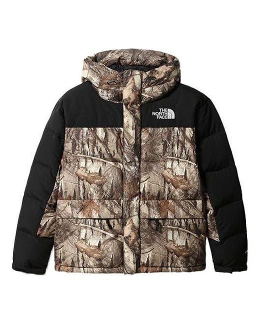 The North Face Brown Nuptse Jacket 550 for men