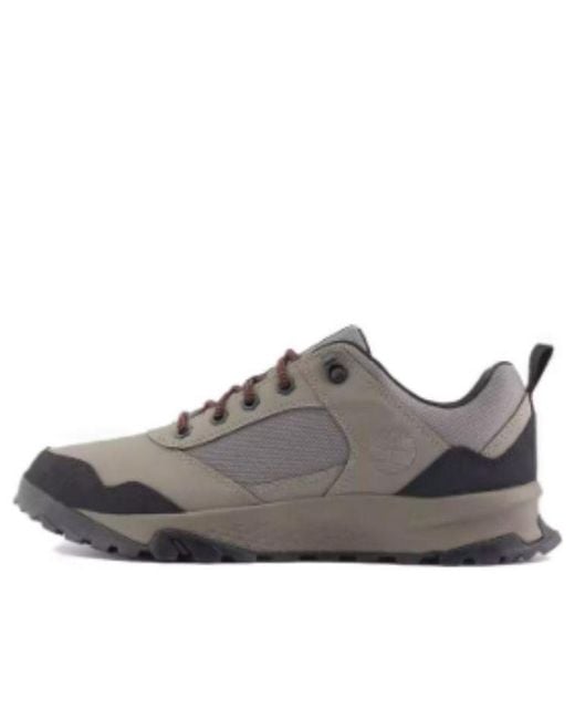 Timberland Brown Lincoln Peak Lite Fabric And Leather Low Hiking Sneakers for men
