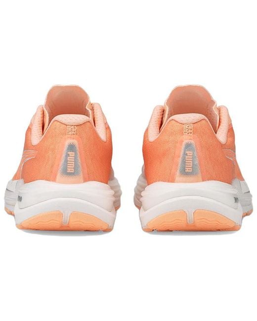PUMA Pink (Wmns) Velocity Nitro 2 Wildwash 'Fizzy Melon'