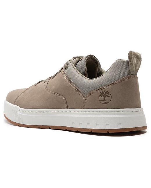Timberland Brown Maple Grove Trainer for men