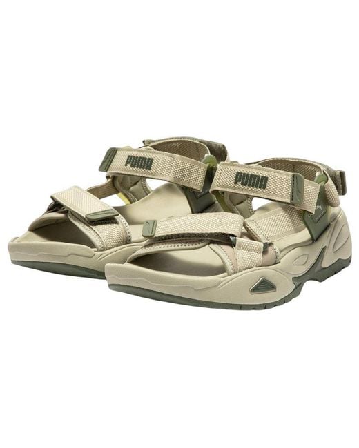 PUMA Green Traek Lite 'Birch Tree' for men