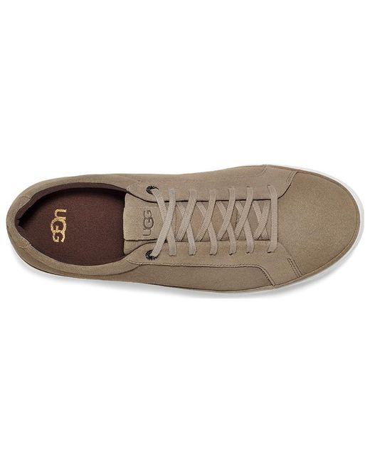 Ugg Brown Cali Sneaker Suede 'Brindle' for men