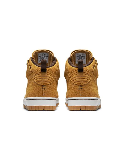 Nike Brown Dunk Cmft Wb for men