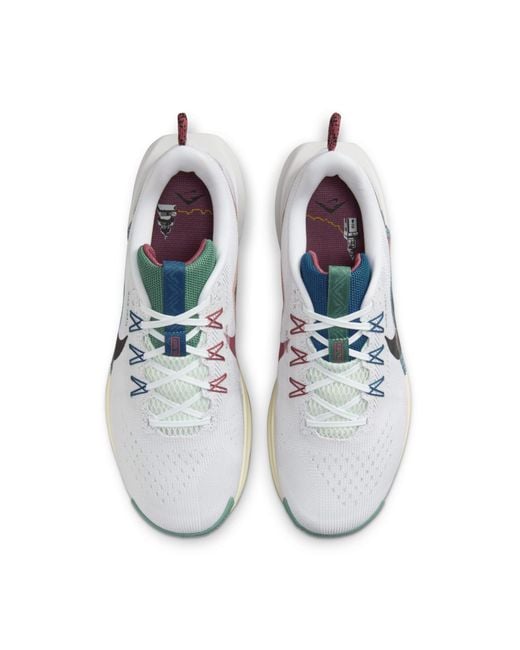 Nike Blue Pegasus Trail 5 Trail Running Shoes for men