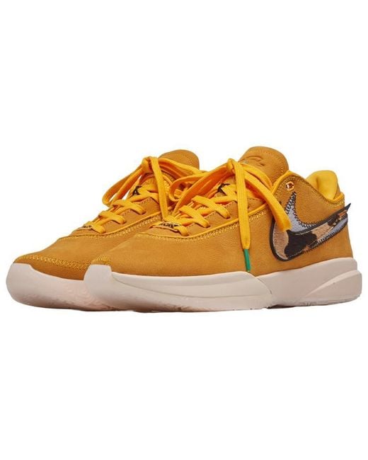 Nike Brown Lebron 20 'Unknwn Art Basel South Beast' for men