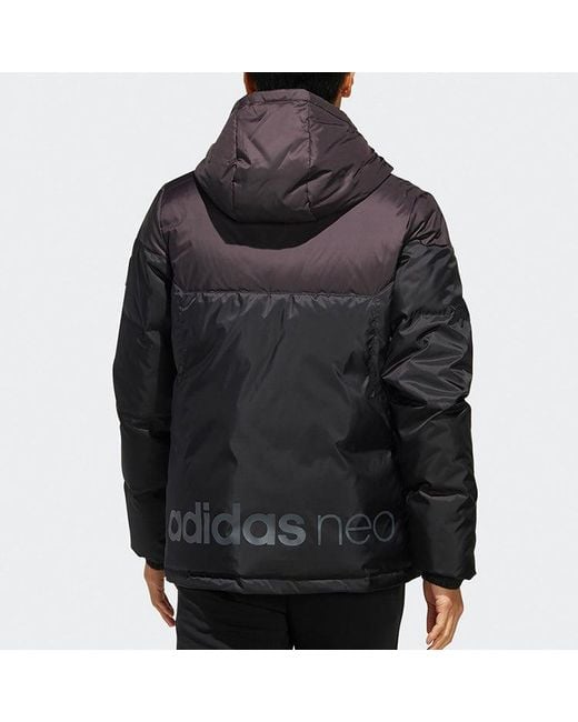 Adidas Blue Neo Solid Color Stay Warm Hooded Sports Down Jacket for men