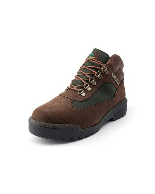 Timberland Brown Field Boot F/L Waterproof for men