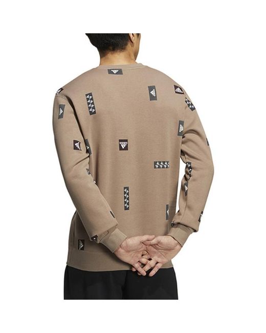 Adidas Brown Fw22 for men