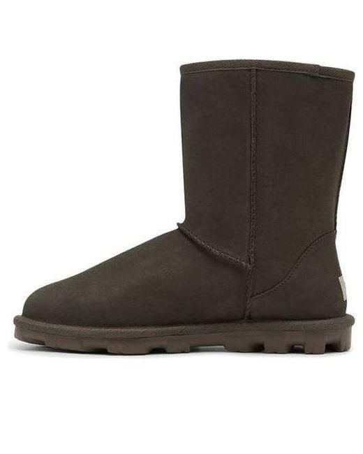 Ugg Brown (Wmns) Essential Short Ii