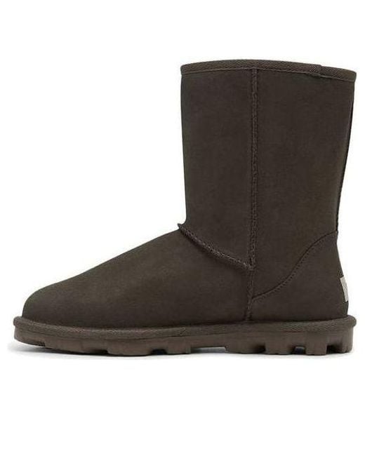 Ugg Brown (Wmns) Essential Short Ii