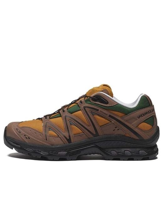 Salomon Brown Xt-Quest 75 for men