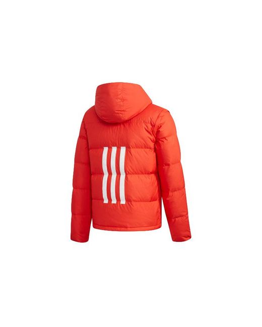 Adidas Red Neo Sports Hooded Detachable Long Sleeves Down Jacket for men
