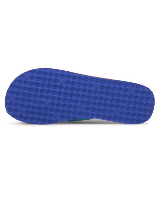PUMA Blue Epic Flip V2 Slipper for men
