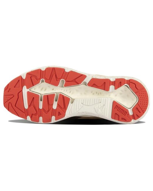PUMA Brown X Nsc X Deal Trc Blace for men