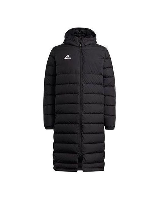 Adidas Black Tiro21L Down Football Hood Warm Down Jacket for men