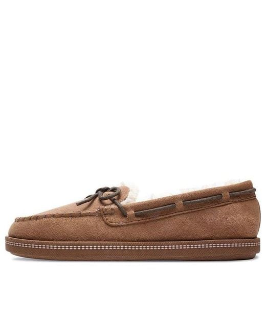 Skechers Brown (Wmns) Cozy Campfire 'Chestnut'