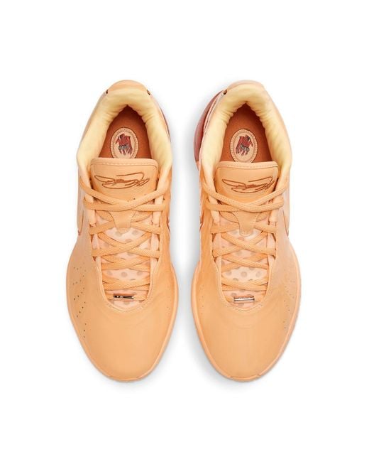 Nike Natural Lebron 21 Ep 'Melo Tint' for men