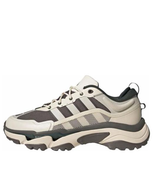 Adidas White Citywowlk for men
