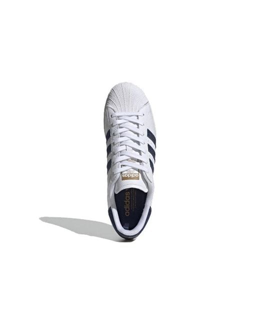 Adidas Blue Superstar Dark' for men