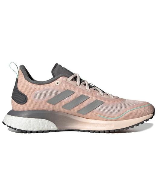 Adidas Pink (Wmns) Supernova Cold.Rdy Tint'