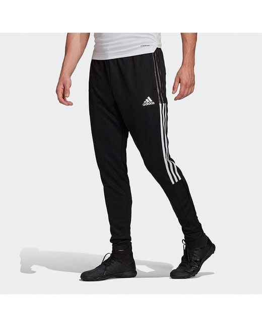 Adidas Black Tiro21 Tk Pnt Sports Long Pants for men