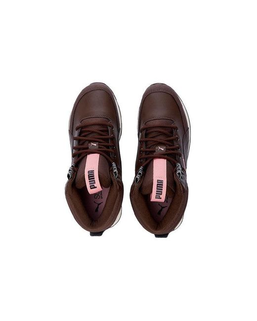 PUMA Brown Vista Mid Utility Climbing Shoes for men