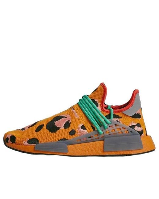 Adidas Blue X Pharrell Nmd Hu 'Animal Print' for men