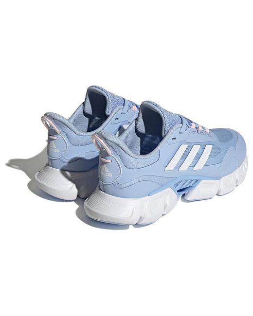 Adidas Blue (Wmns) Climacool