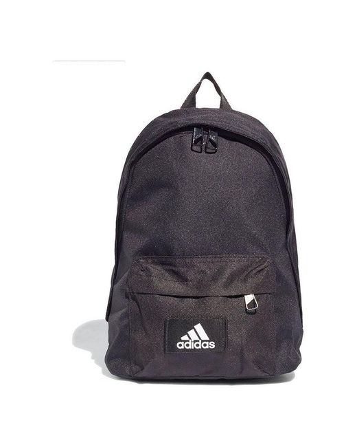Adidas Blue Classic Sportswear Backpack for men