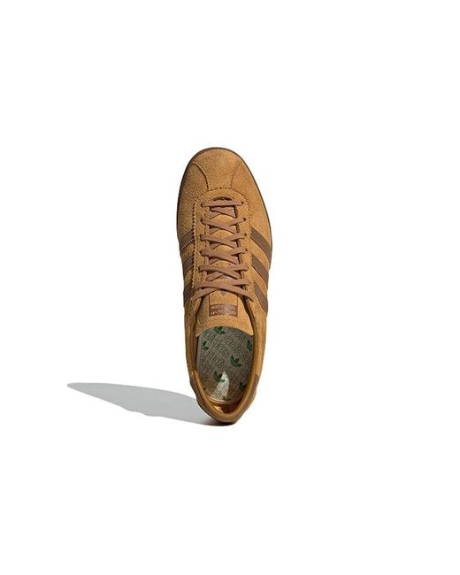 adidas Tobacco Gruen 'Mesa' in Brown for Men | Lyst UK