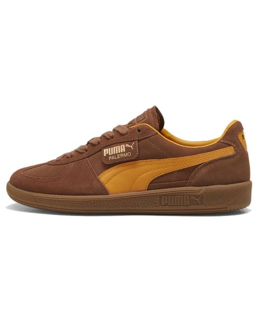 PUMA Brown Palermo Mushroom Ginger Tea' for men