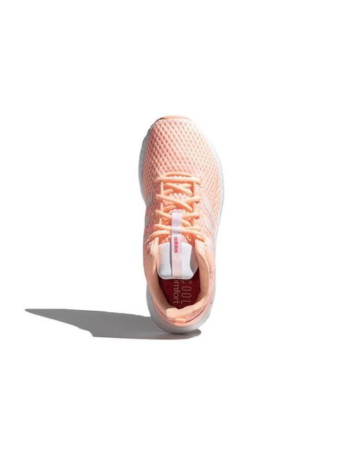 Adidas Pink (Wmns) Neo Questar Climacool