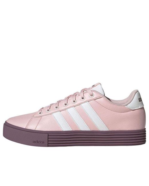 Adidas Purple (Wmns) Daily 4.0 Wine'