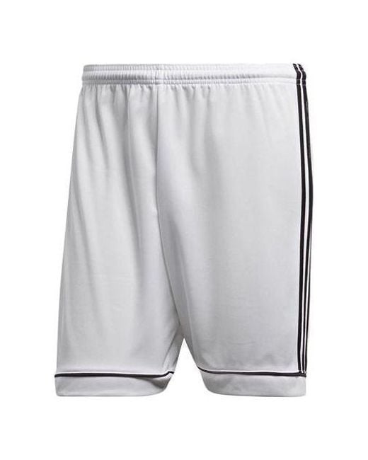 Adidas Gray Squadra 17 Training Shorts for men