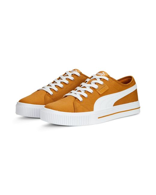 PUMA Brown Ever Fs Cv for men