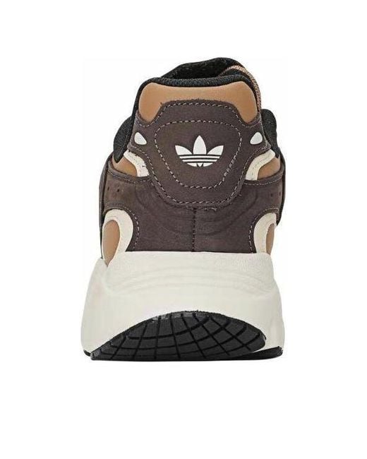 Adidas Brown Ozmillen for men