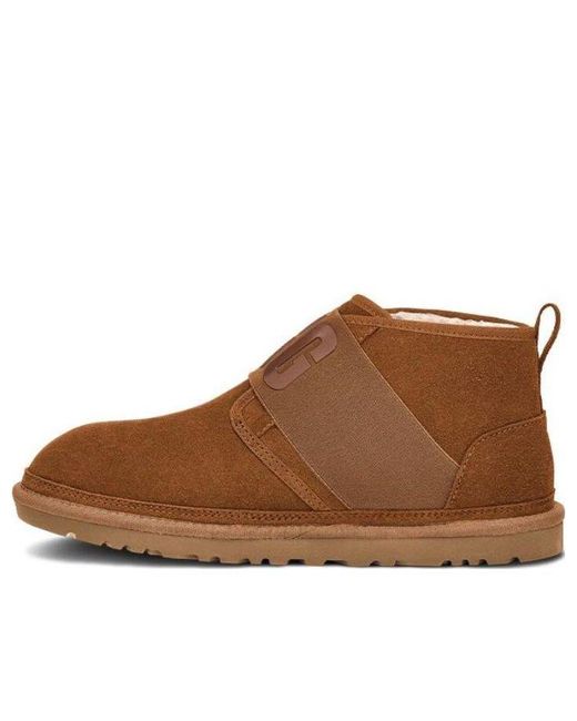 chestnut neumel uggs