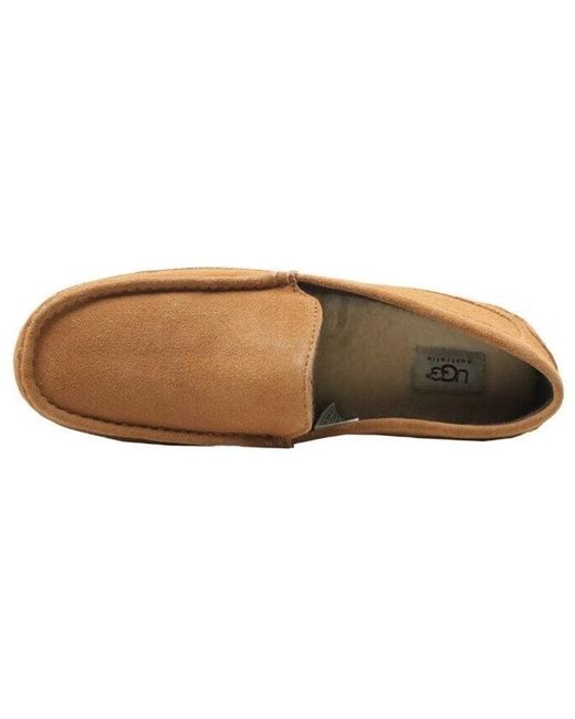 Ugg Brown Alder Slipper 'Chestnut' for men