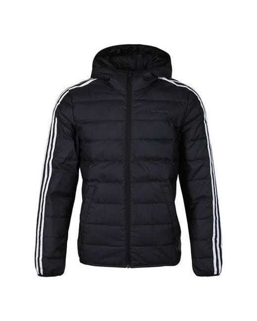Adidas Blue Neo Windproof Stay Warm Casual Hooded Zipper Down Jacket for men