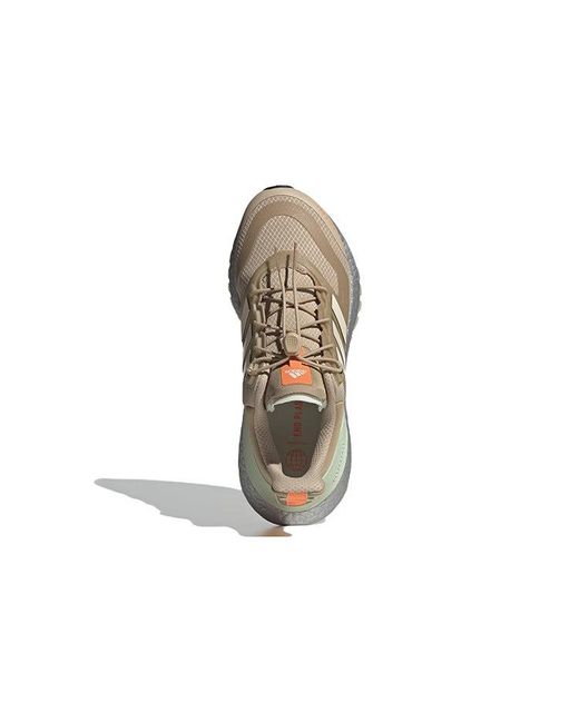 Adidas Brown (Wmns) Ultraboost 22 Cold.Rdy 2.0 'Magic'